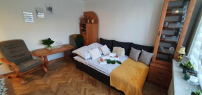 Apartament Park Saski II, Sandomierz